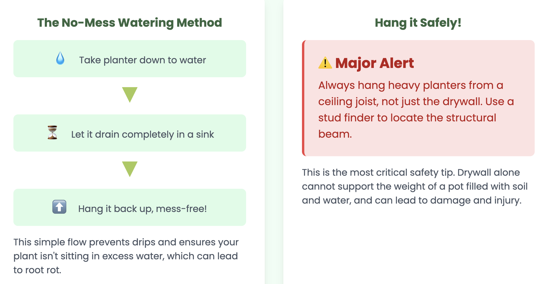Key pieces of advice to ensure your hanging garden thrives.