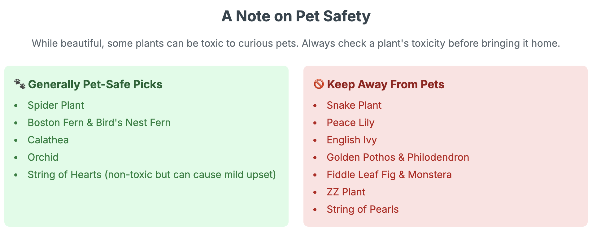 Which bathroom plants are pet safe? A note on pet safety for bathroom plants.